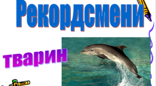 Застосування загального правила додавання двоцифрових чисел до випадку виду 20+47, 2+47. Розв’язування задач складанням виразу.