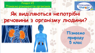 Презентація "Як виділяються непотрібні речовини з організму людини". "Пізнаємо природу" 5 клас НУШ.
