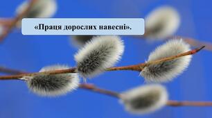 Презентація на тему:  «Праця дорослих навесні»