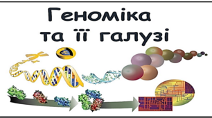 Геноміка та її галузі