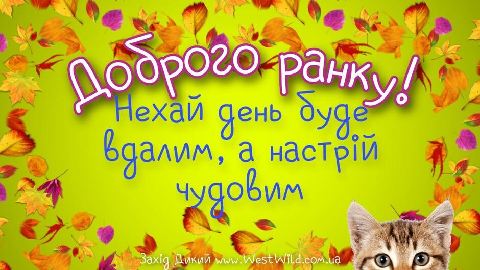 Привітання з Добрим Ранком в картинках (постійне оновлення) - West Wild |  Захід Дикий