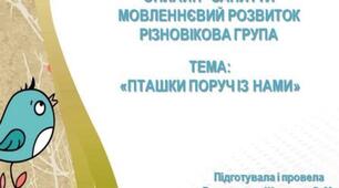 Презентація онлайн-заняття з мовленнєвого розвитку "Пташки поруч із нами."