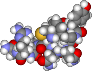 0402fdwy-d4a2-300x231.png