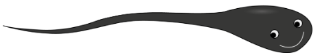 0402fins-8db4-466x81.png