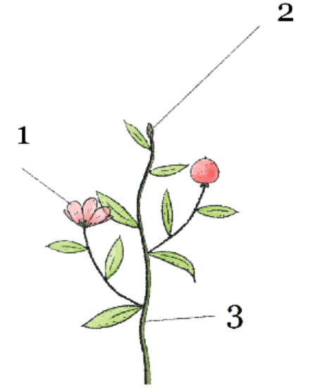 0402fk62-97d6-454x550.png