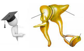 0402fm5n-7999-284x174.png