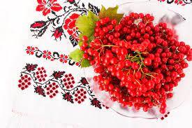 0402fmcn-ecd6-275x183.jpg