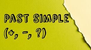 Grammar. Past Simple 