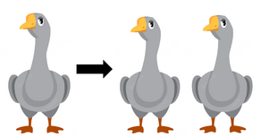 0402fmp0-eca0-301x153.png