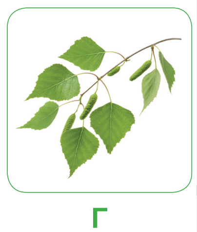 0402fmwh-deef-404x476.png