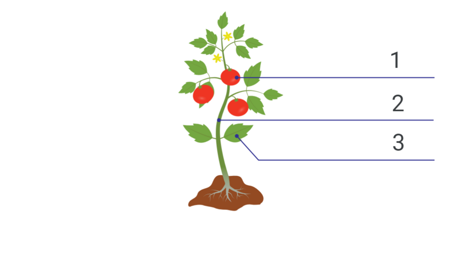 0402fnah-cb1b-940x523.png