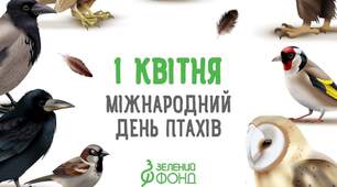 Всесвітній день ПТАХІВ!