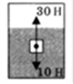 0402fpiq-e050-149x171.png