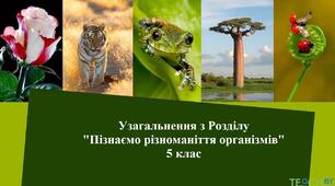 Узагальнююча робота з Розділу "Пізнаємо різноманіття організмів" (частина 1) 5 клас НУШ