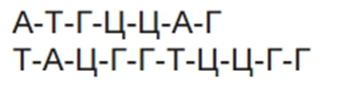 0402fsgk-3633-340x88.png