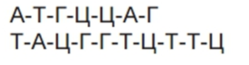 0402fsh2-0280-351x92.png