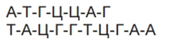 0402fshe-8e5f-345x95.png