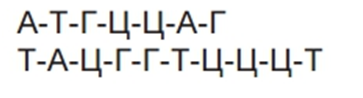 0402fshm-d22b-363x98.png