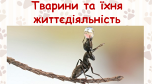 7 клас Контрольна робота №2