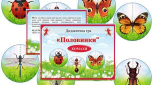 Дидактична гра "Половинки" КОМАХИ