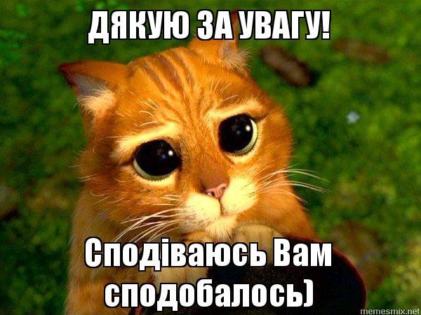 ДЯКУЮ ЗА УВАГУ! Сподіваюсь Вам сподобалось), Мем Кот из Шрека