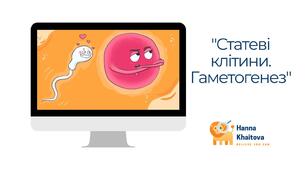 Робочий аркуш "Статеві клітини. Гаметогенез"