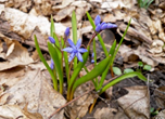 0402ftyg-9a2b-152x110.png