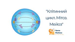 Робочий аркуш "Клітинний цикл. Мітоз. Мейоз"