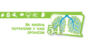 (Копія) Як кисень потрапляє в наш організм