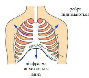 0402fw4c-18f9-297x262.png