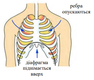 0402fw7f-f130-303x257.png