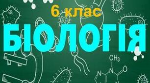 Підсумкова робота з біології 6 клас екстернат