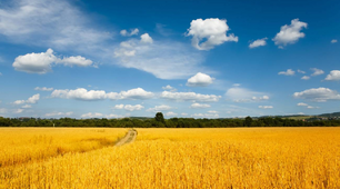 Schöne Landschaften  