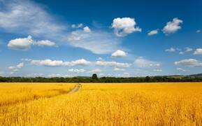 0402fx08-7b96-289x180.jpg