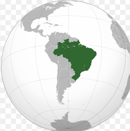 0402fxji-9776-262x265.png