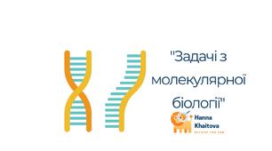 Робочий аркуш "Розв'язування вправ з молекулярної біології"