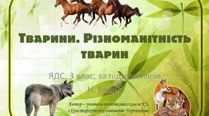 Презентація " Тварини.  Різноманітність тварин"