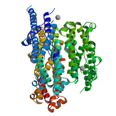 Interferon alfa-2b: Uses, Interactions, Mechanism of Action | DrugBank Online