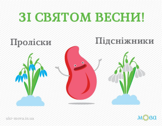 0402g29z-d544-521x403.png