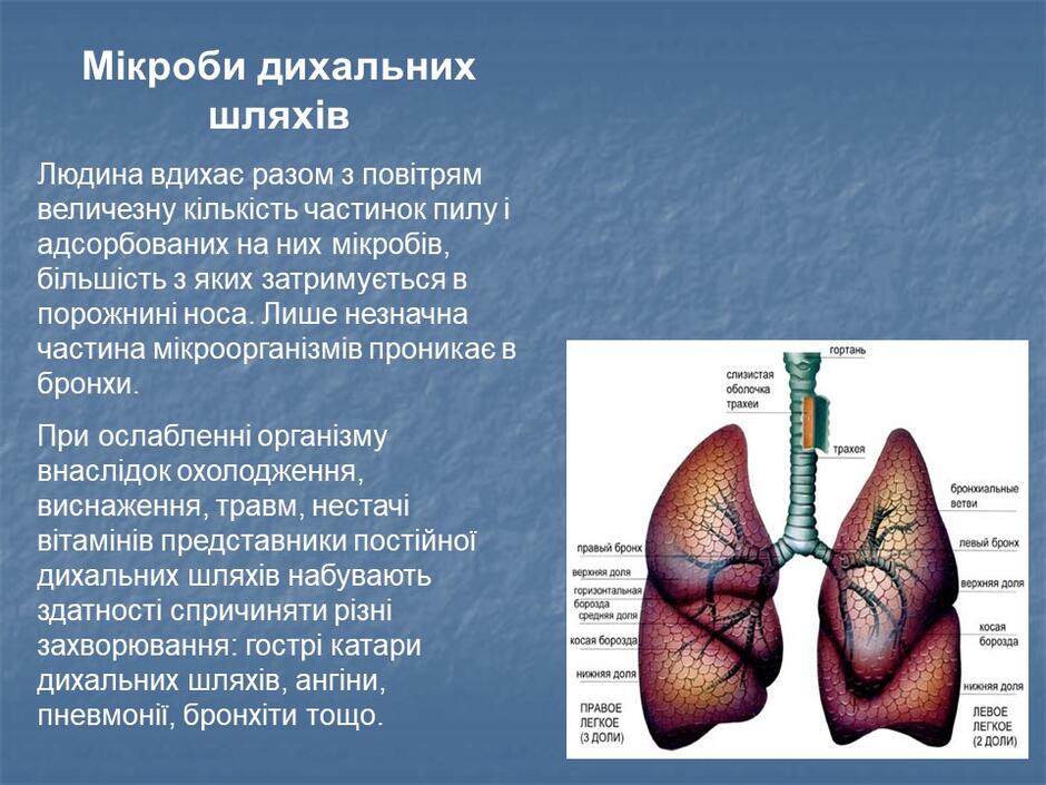 0402g3d5-aa64-940x705.jpg