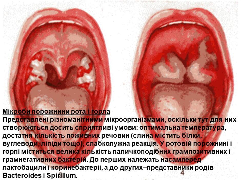 0402g3d7-f729-940x705.jpg