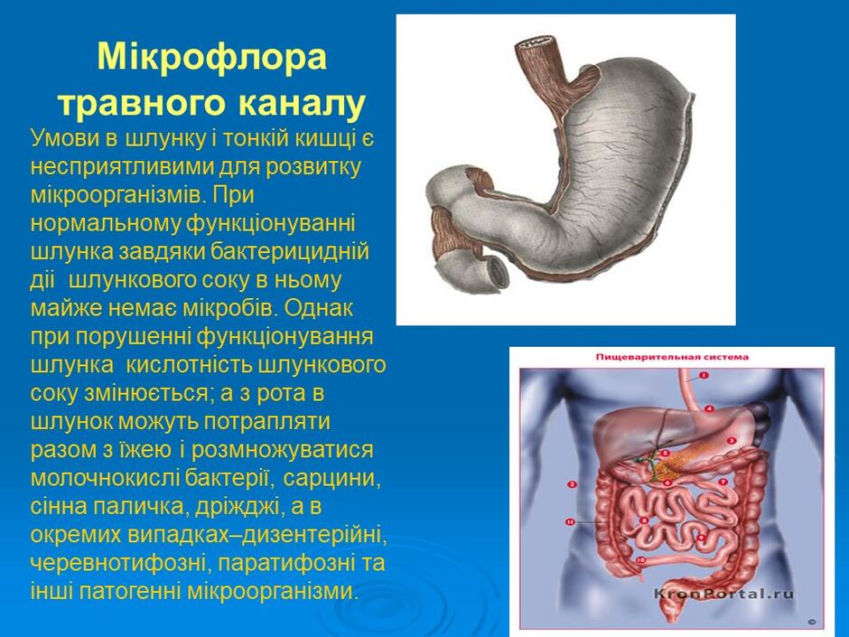 0402g3df-322b-940x705.jpg