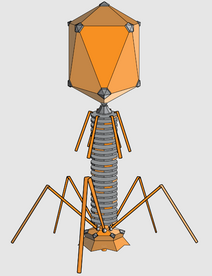 0402g42r-bd07-212x276.png