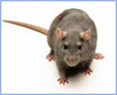 0402g90f-ee69-166x136.png