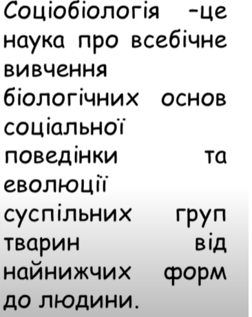 0402gajn-b129-366x459.png