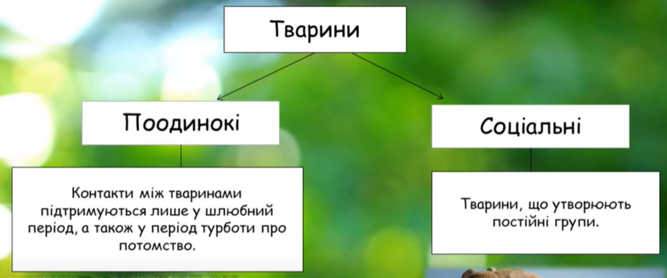 0402gajy-436f-940x392.png