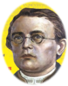 0402gc82-c712-200x252.png