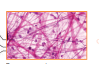 0402gd9e-e5ee-196x128.png
