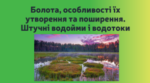 Болота, особливості їх утворення та поширення.