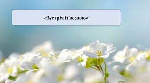 Презентація на тему: "Зустріч із весною".